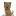 Cairn terrier ii
